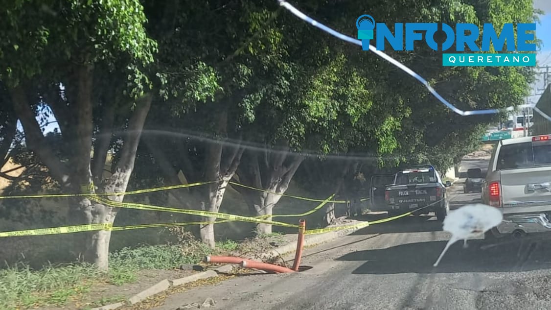 Localizan cuerpo sin vida en dren pluvial a un costado de la Terminal de Autobuses (TAQ)