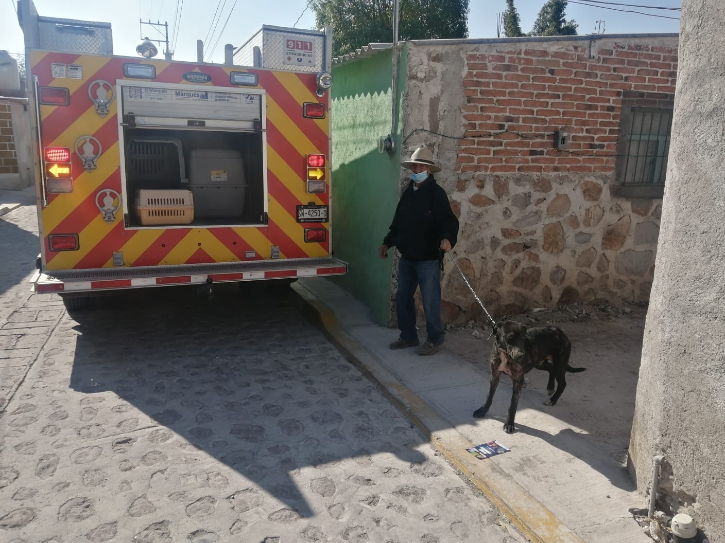 Sanciona municipio de El Marqués caso de maltrato animal, en Atongo