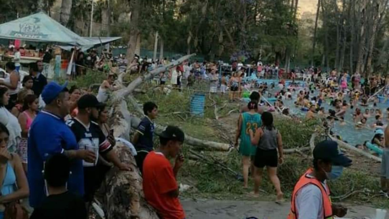 Muere bebé de 11 meses aplastado por un árbol en un balneario de Silao, Guanajuato