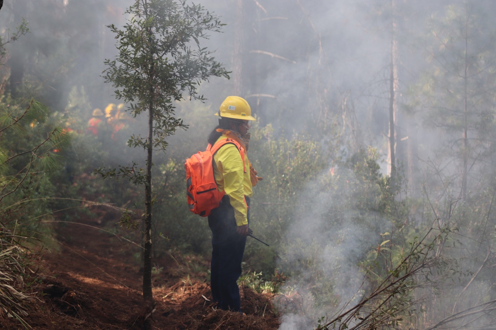 Registra Querétaro 16 incendios forestales