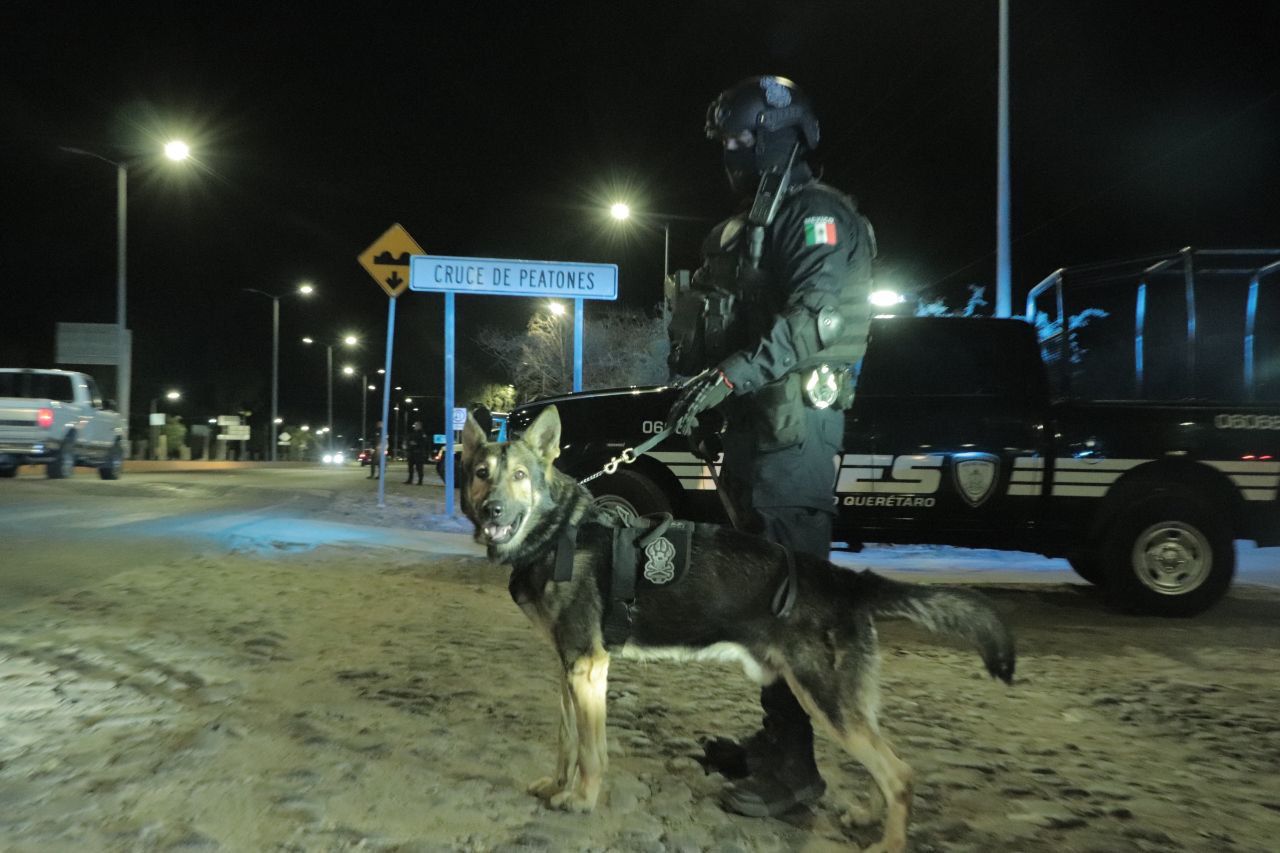 POES realiza operativo en SJR y Tequisquiapan, detiene a 13.