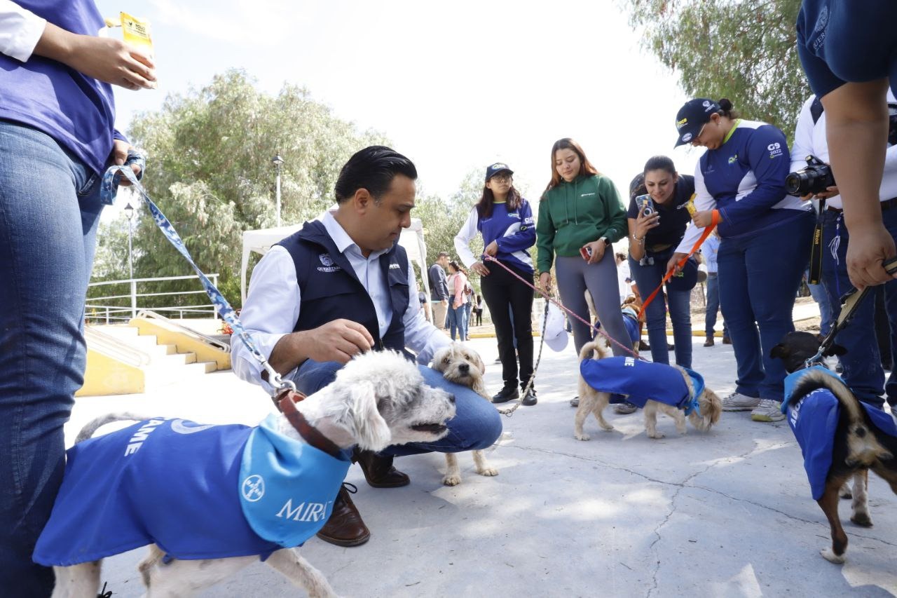 En el Día Mundial del Perro Callejero, promueve Luis Nava la tenencia responsable de mascotas