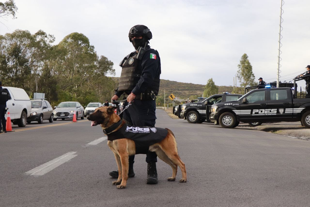 Policía Estatal continúa con los operativos de seguridad en límites de Querétaro con Guanajuato