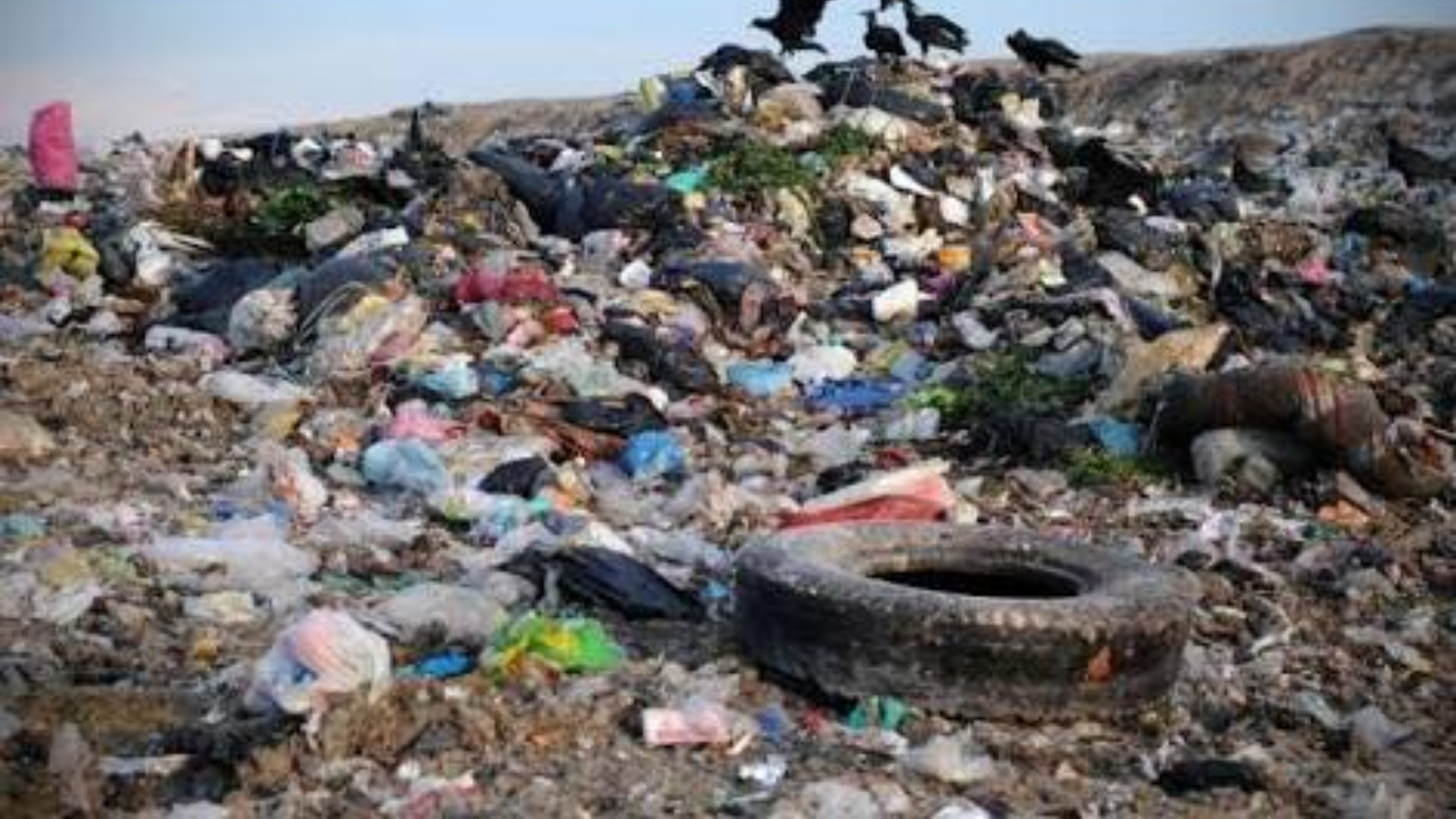 La basura recolectada en Corregidora está siendo tirada en el basurero de Colón