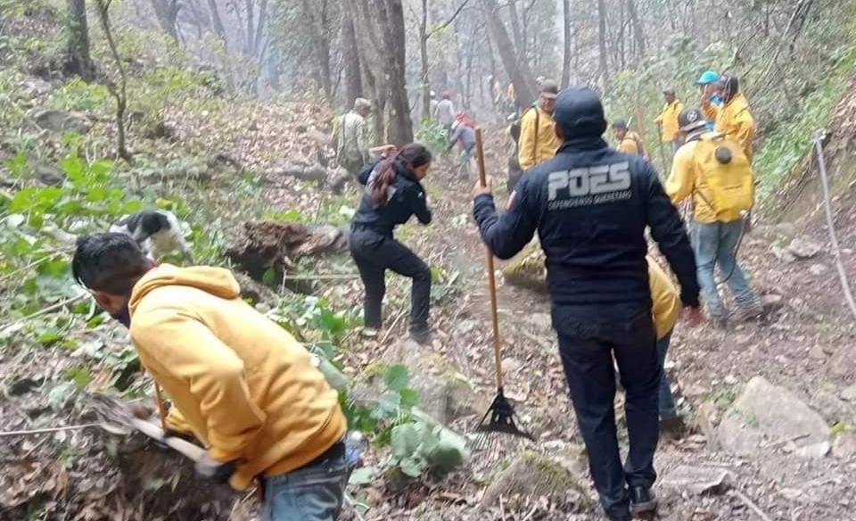 Poes apoya en labores para sofocar el incendio forestal de Cadereyta: Iovan Elias Pérez