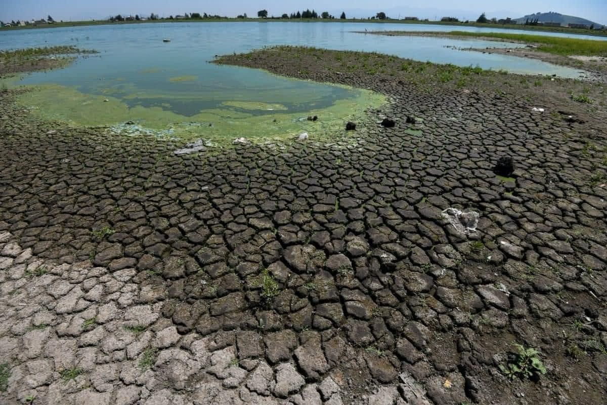 Presas de Querétaro están a un 11%: Conagua