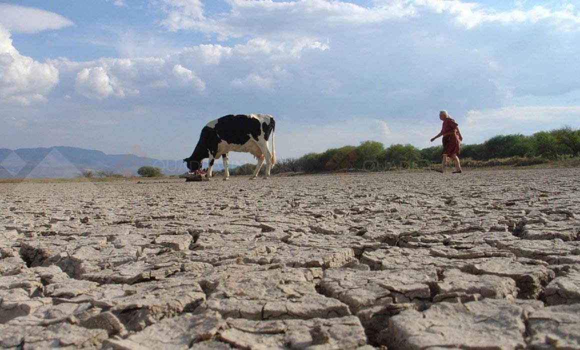 Querétaro es afectado por la sequía que arrastra desde el año 2022; Rosendo Anaya Aguilar