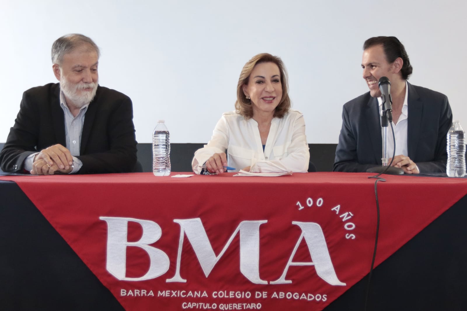 Sin equilibrios en el Congreso Federal, el país se nos puede ir de las manos: Lupita Murguía