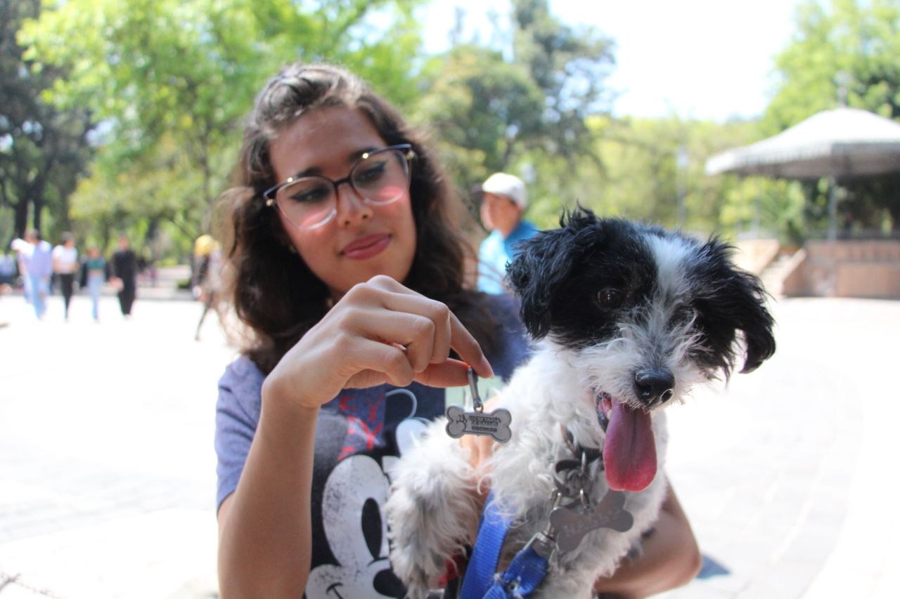 Llaman a prevenir golpes de calor en las mascotas