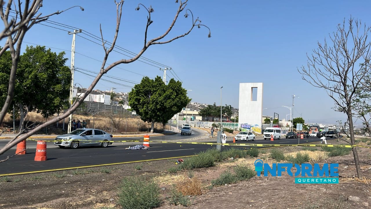 Muere Atropellado en la Carretera Fray Junípero Serra; Conductor se Da a la Fuga