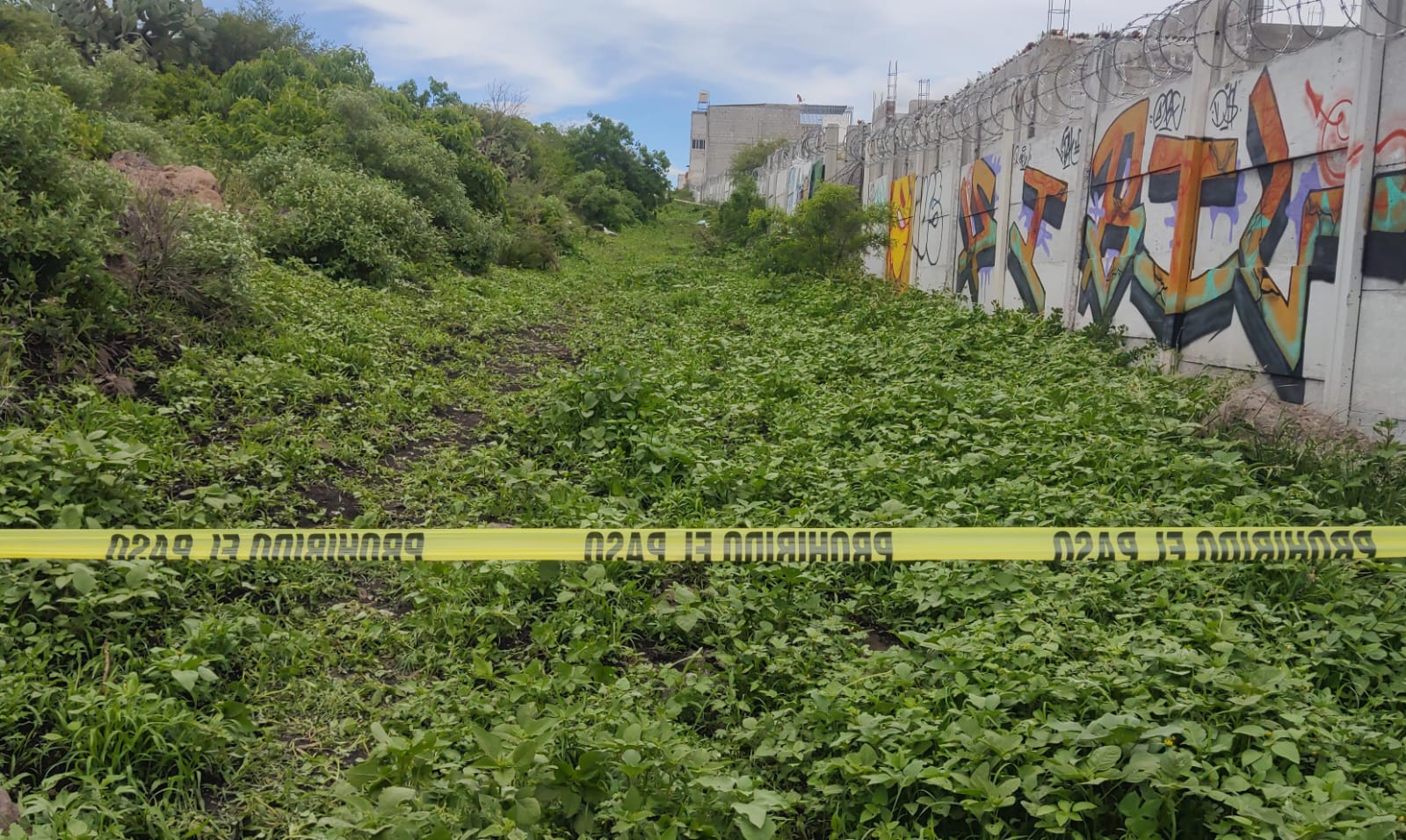 Localizan un cuerpo sin vida en la zona cerril de la colonia Vista Hermosa San José El Alto