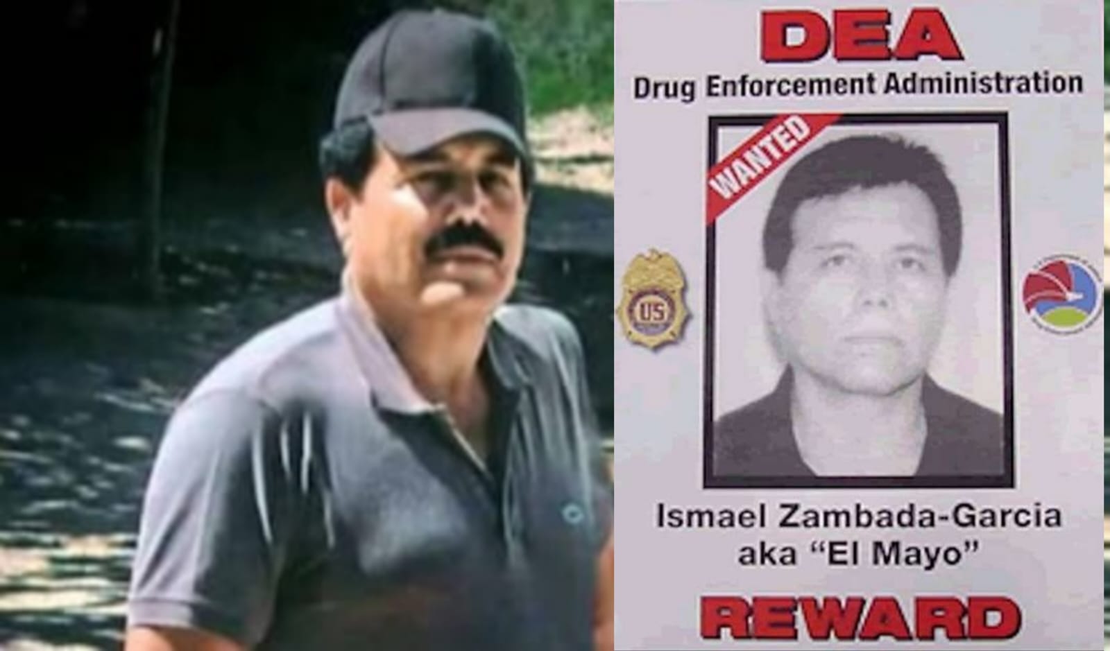 DEA detuvo a Ismael “El MAYO ZAMBADA” en Texas EUA