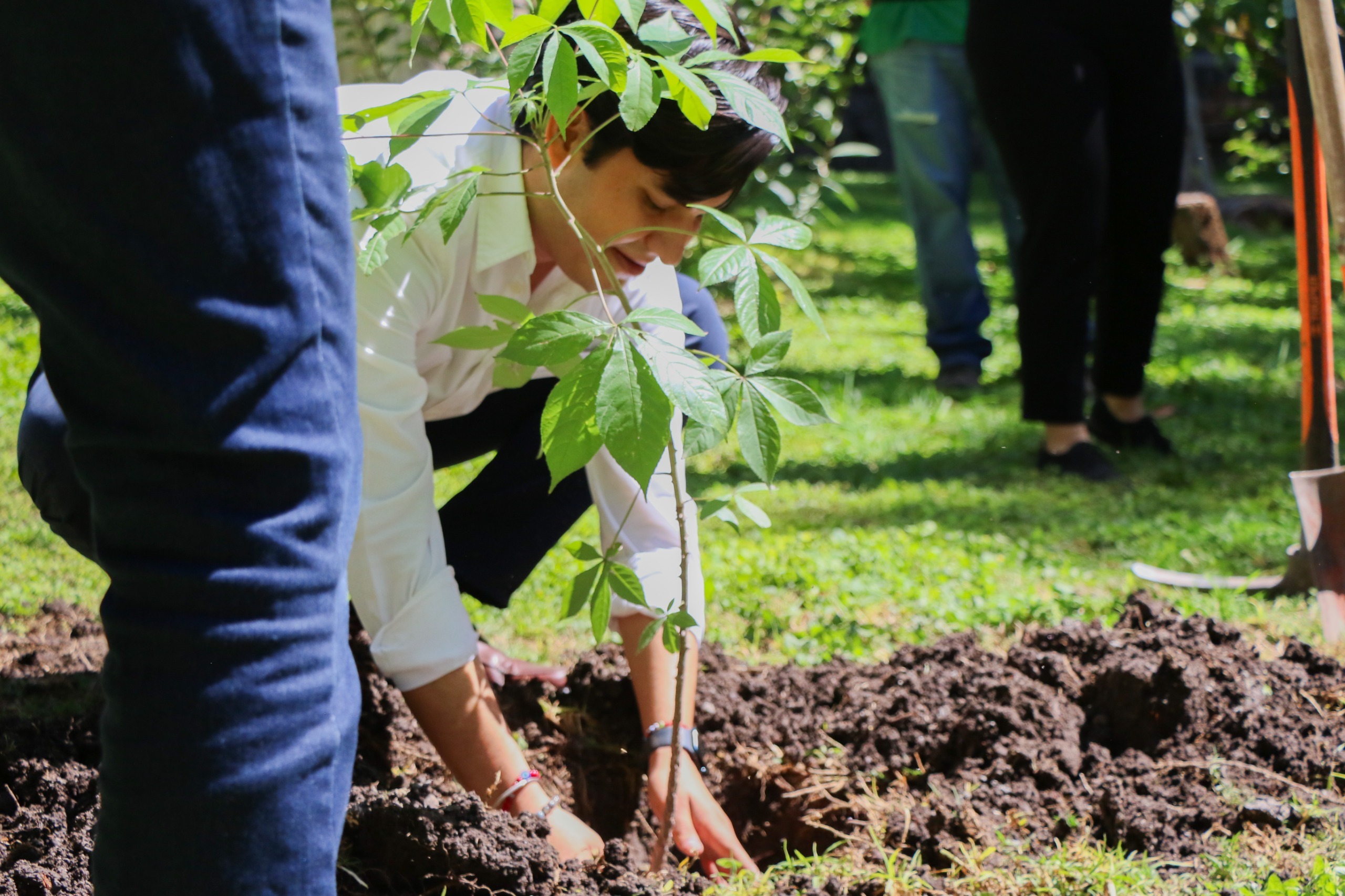 Plantan en la UAQ 270 árboles conCampaña de Reintegración Vegetal 2024