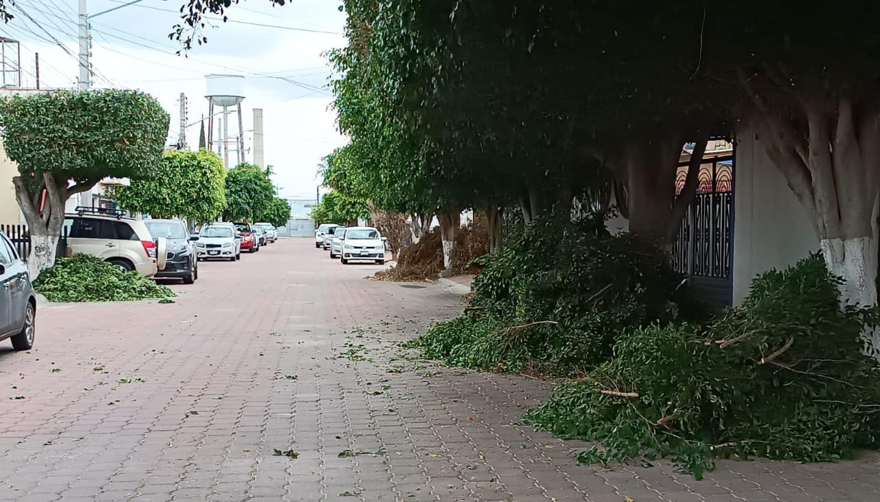 Vecinos de Los Molinos esperan recolección de poda desde hace semanas