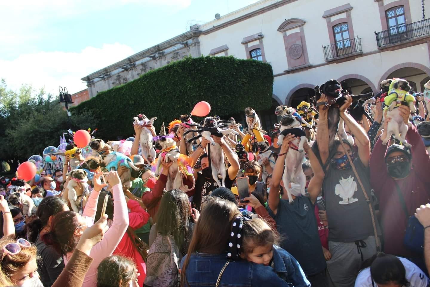 Preparan el “Pugween” Querétaro 2024