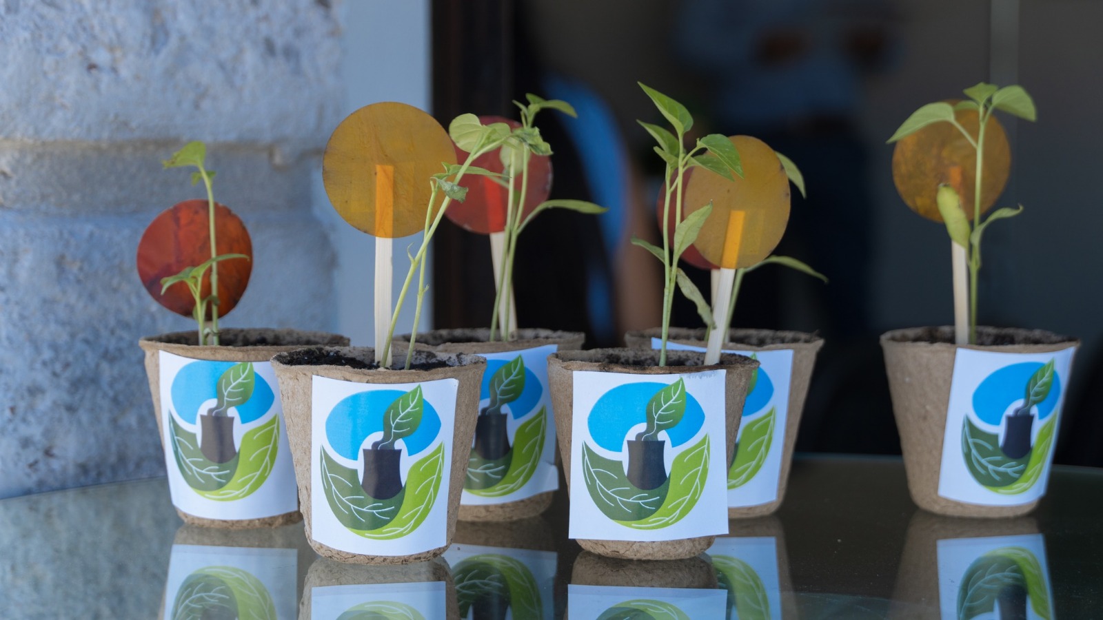 Promueve UAQ futuro sustentable a través de encuentro académico