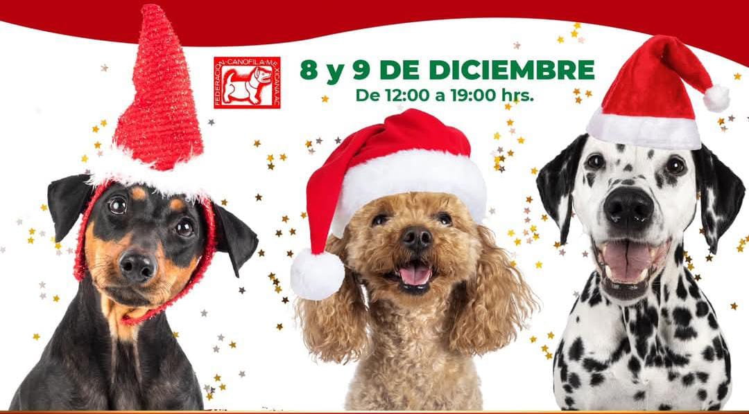 Anuncian el Evento Canino Navideño en la FIGQ2024