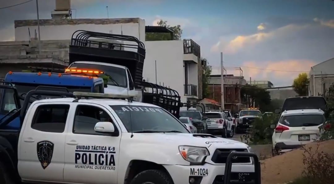 Catean domicilios en la colonia Tonatiuh por robo de ganado en Tequisquiapan