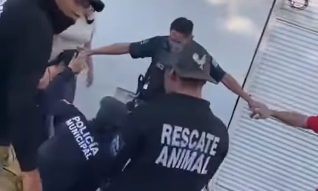 Atiende el Instituto Municipal de Protección Animal reporte por ataque de canino en Jesús María