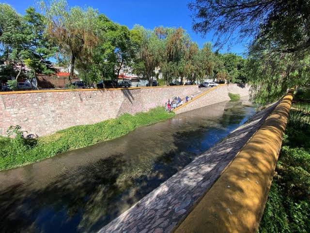 Aplicarán insecticidas y realizarán saneamiento en el Río Querétaro para combatir proliferación de mosquitos