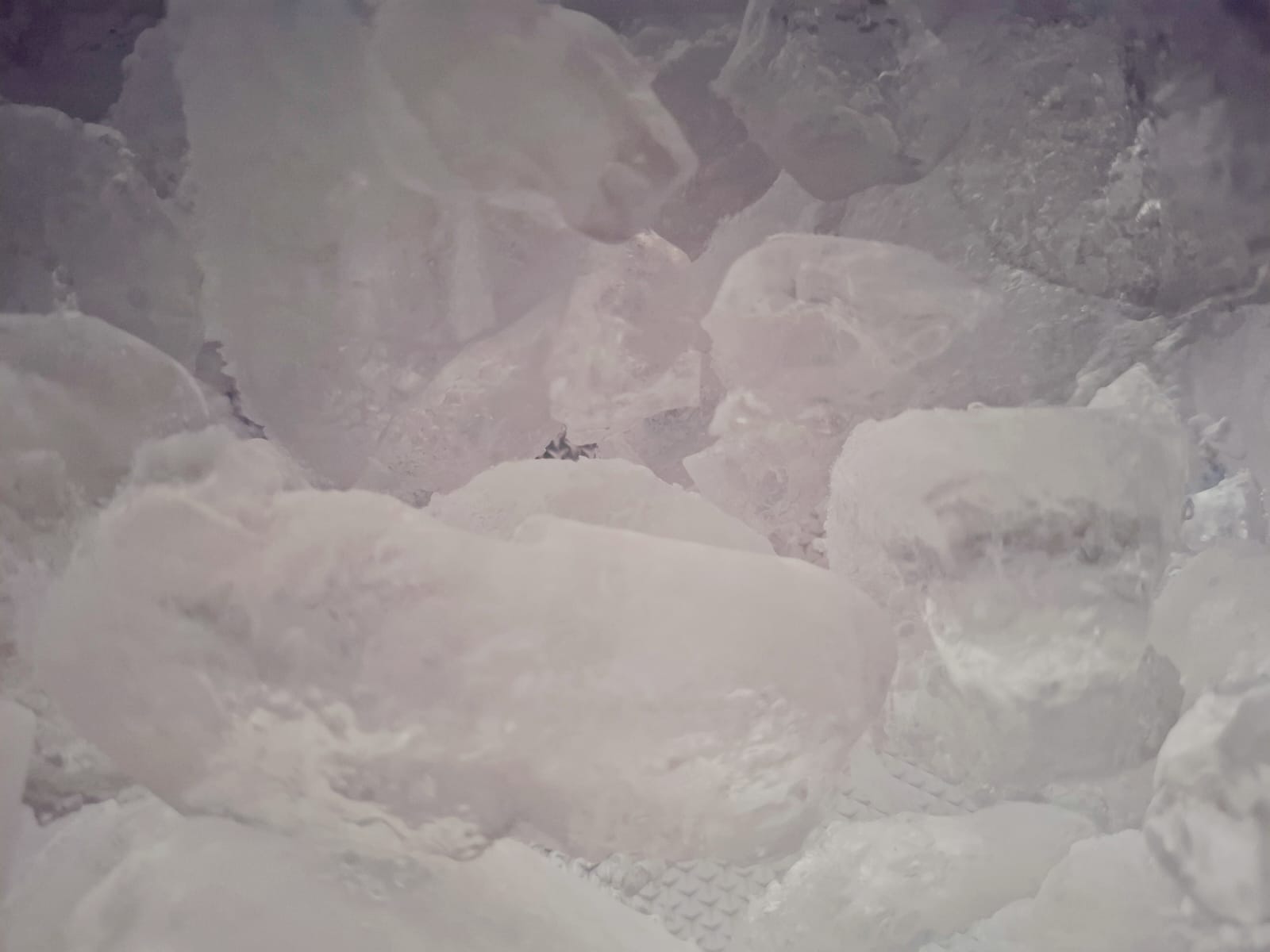 Ventas de hielo aumentan un 30% en Querétaro debido a la temporada de calor