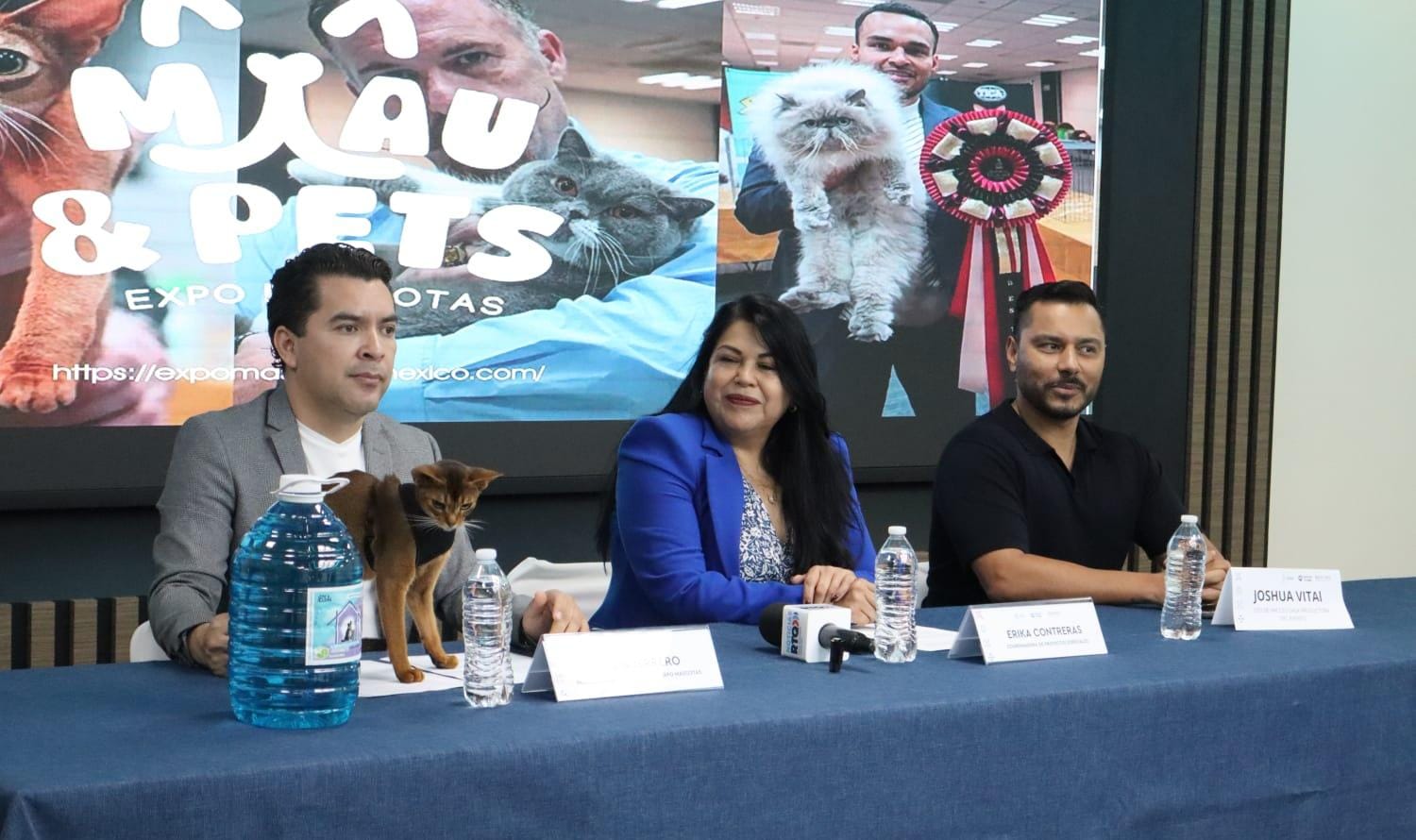Anuncian “Miau & Pets, expo mascotas” 26 y 27 de julio