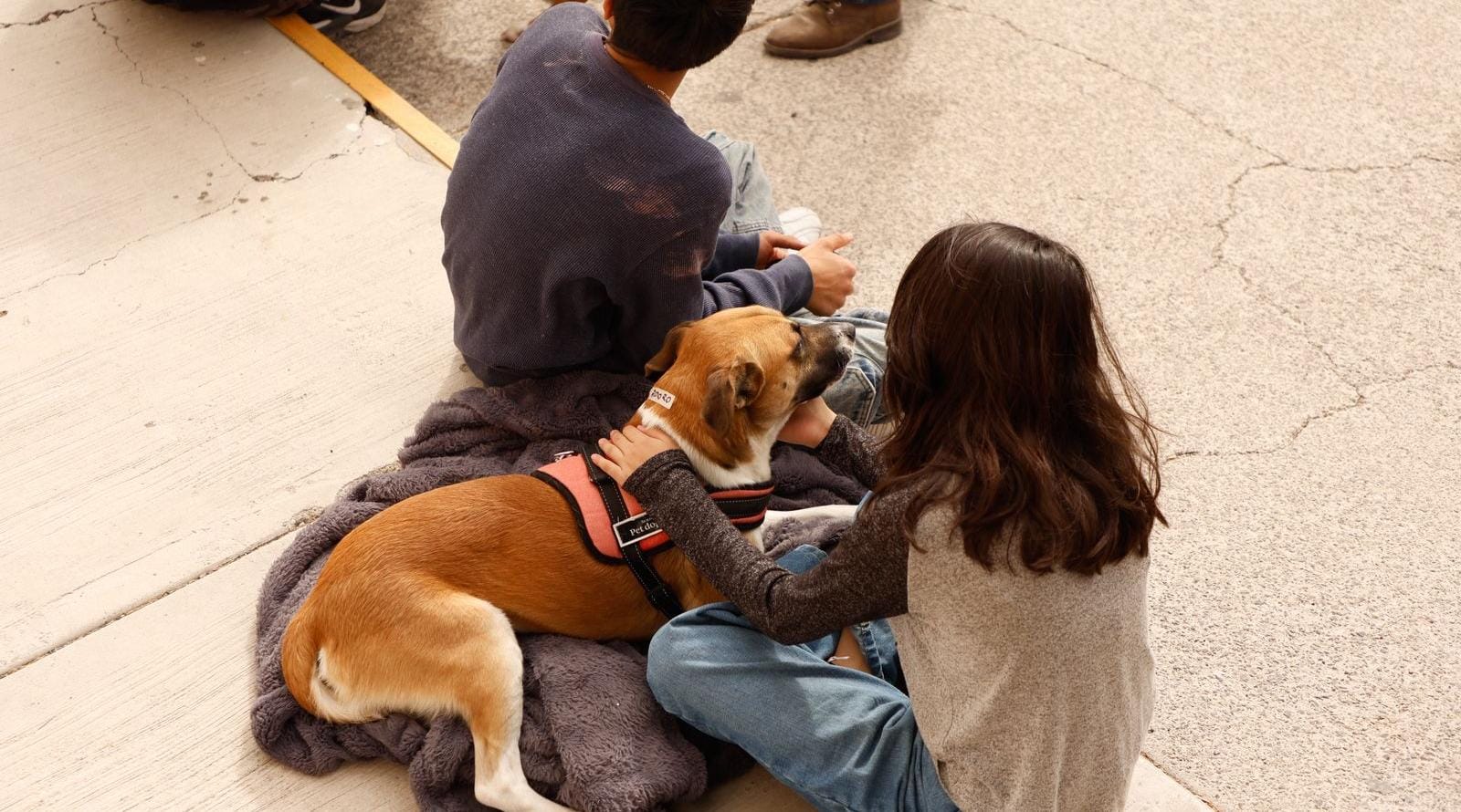 Emite Municipio de Querétaro recomendaciones para cuidar mascotas en estos festejos patrios
