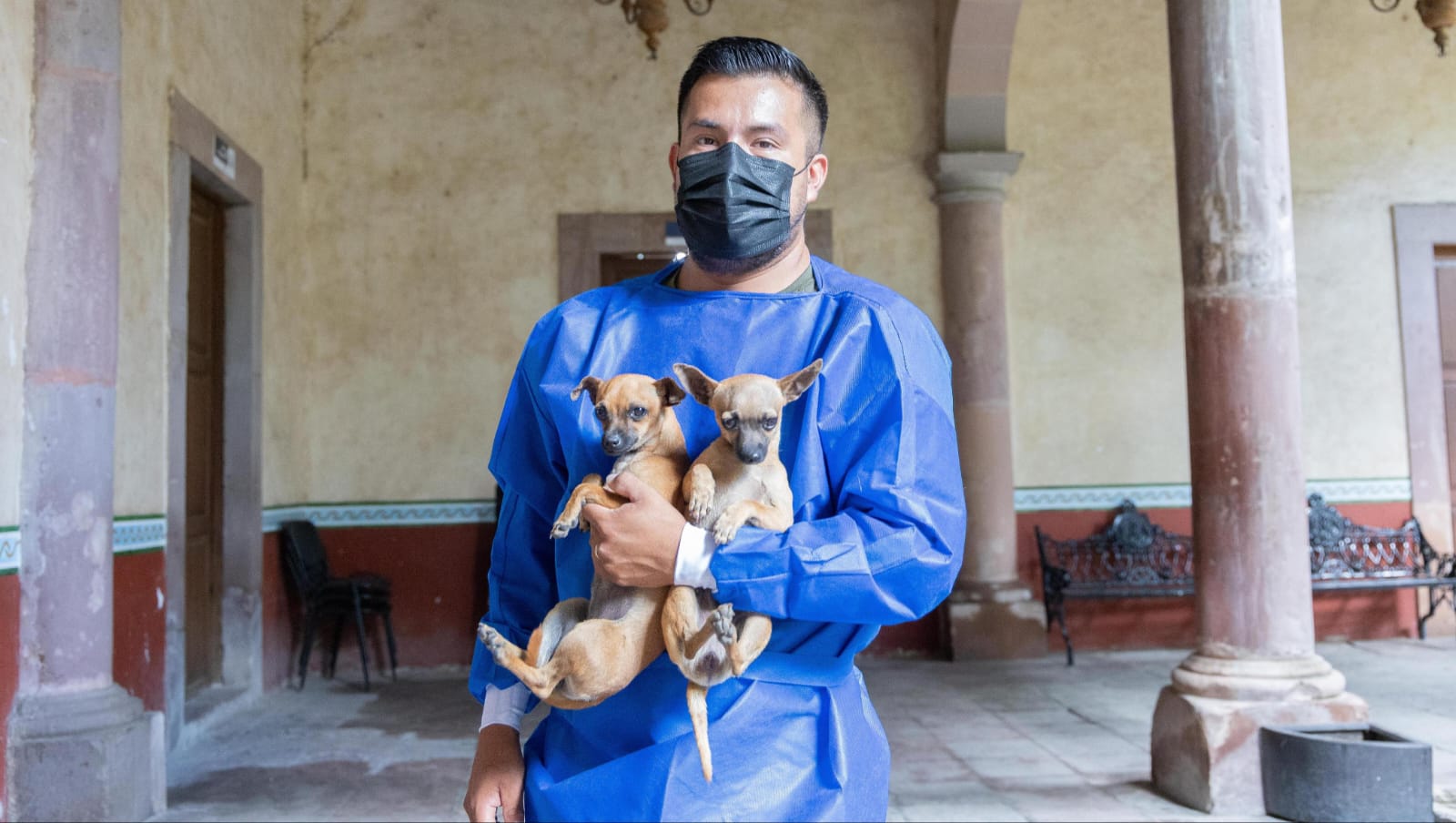 Campaña “Esteriliza y Protege” para mascotas recorre las colonias y comunidades de Corregidora