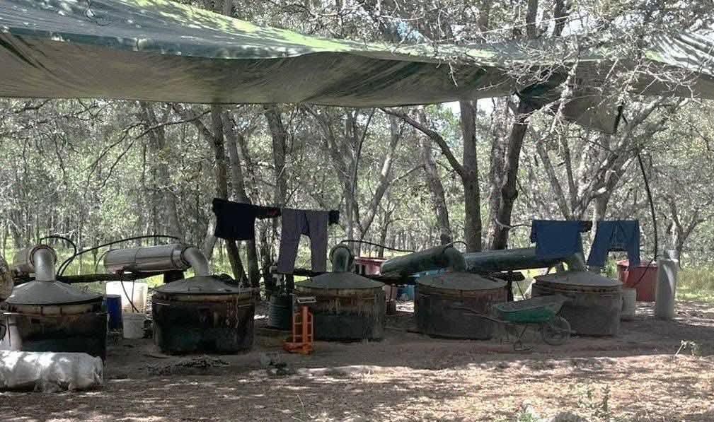 Sedena desmantela laboratorio de metanfetamina en Los Trigos