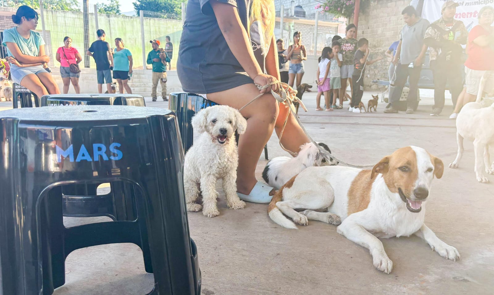 El Marqués brinda apoyo a la Sierra Gorda de Querétaro antes las recientes inundaciones