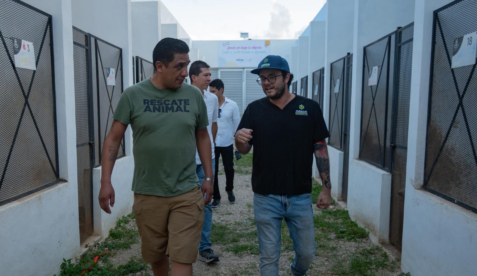 El Marqués consolida su liderazgo nacional en materia de bienestar y protección animal