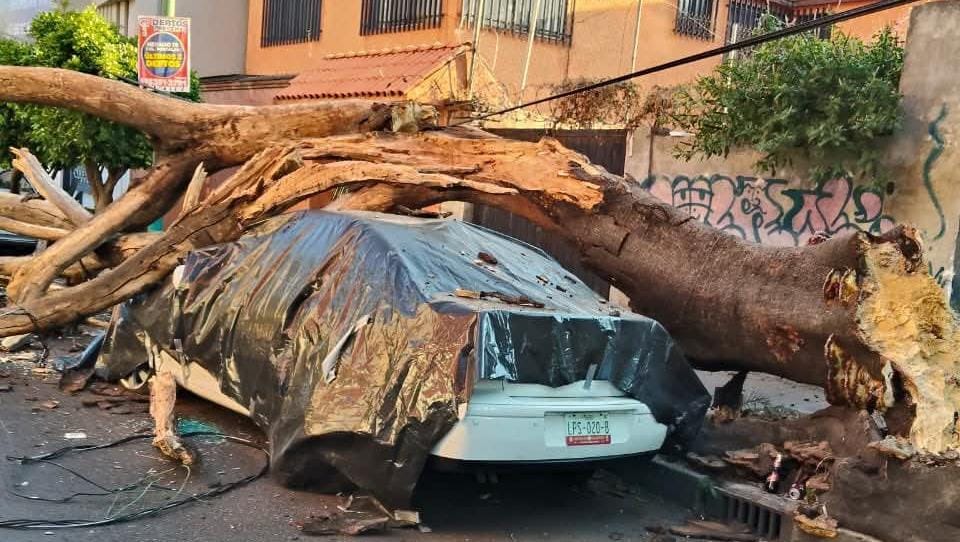 Sismo de 6.5 grados sorprende a capitalinos