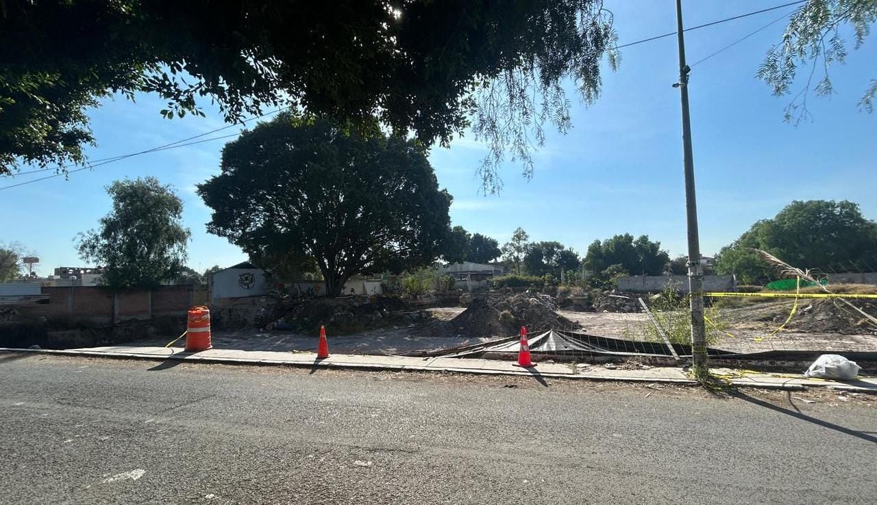 Municipio atiende denuncia ciudadana por posible afectación a árbol en Las Teresas