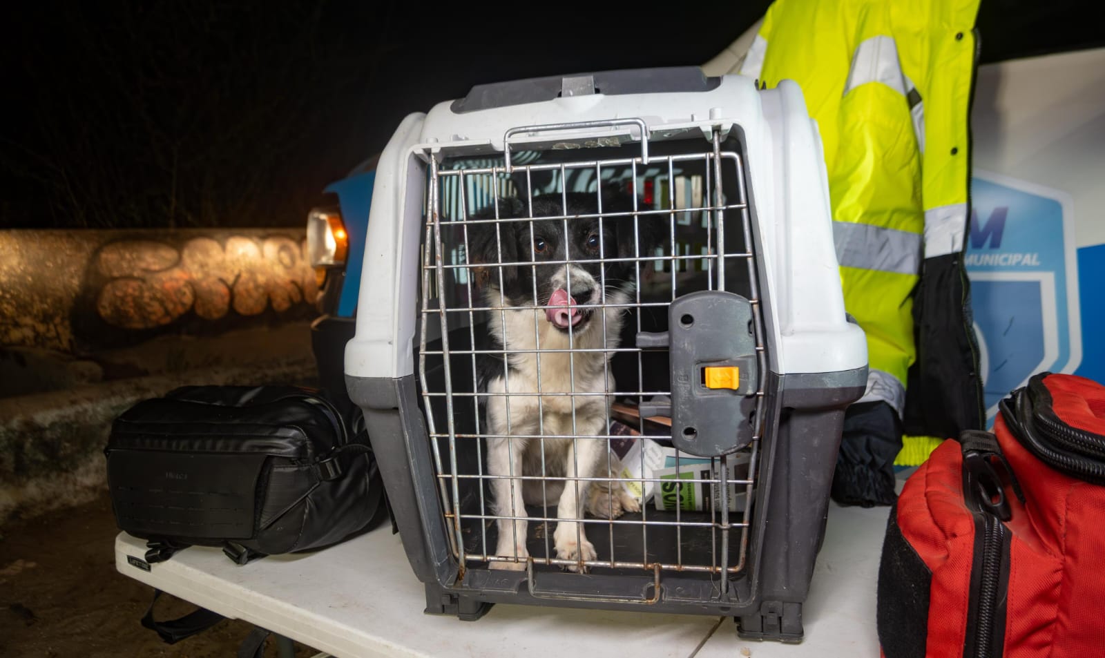 IMPA realiza rescate nocturno de canino en pozo de difícil acceso