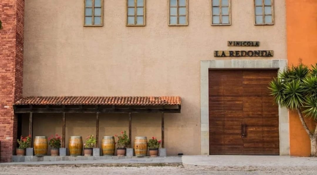 DESPOJAN DEL PREDIO A VIÑEDOS LA REDONDA EN EZEQUIEL MONTES