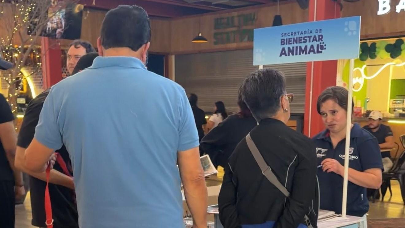 Municipio de Querétaro realiza acciones permanentes de bienestar animal