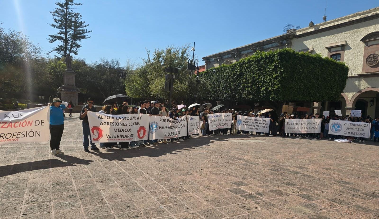 Denuncian incremento en la violencia contra Veterinarios!