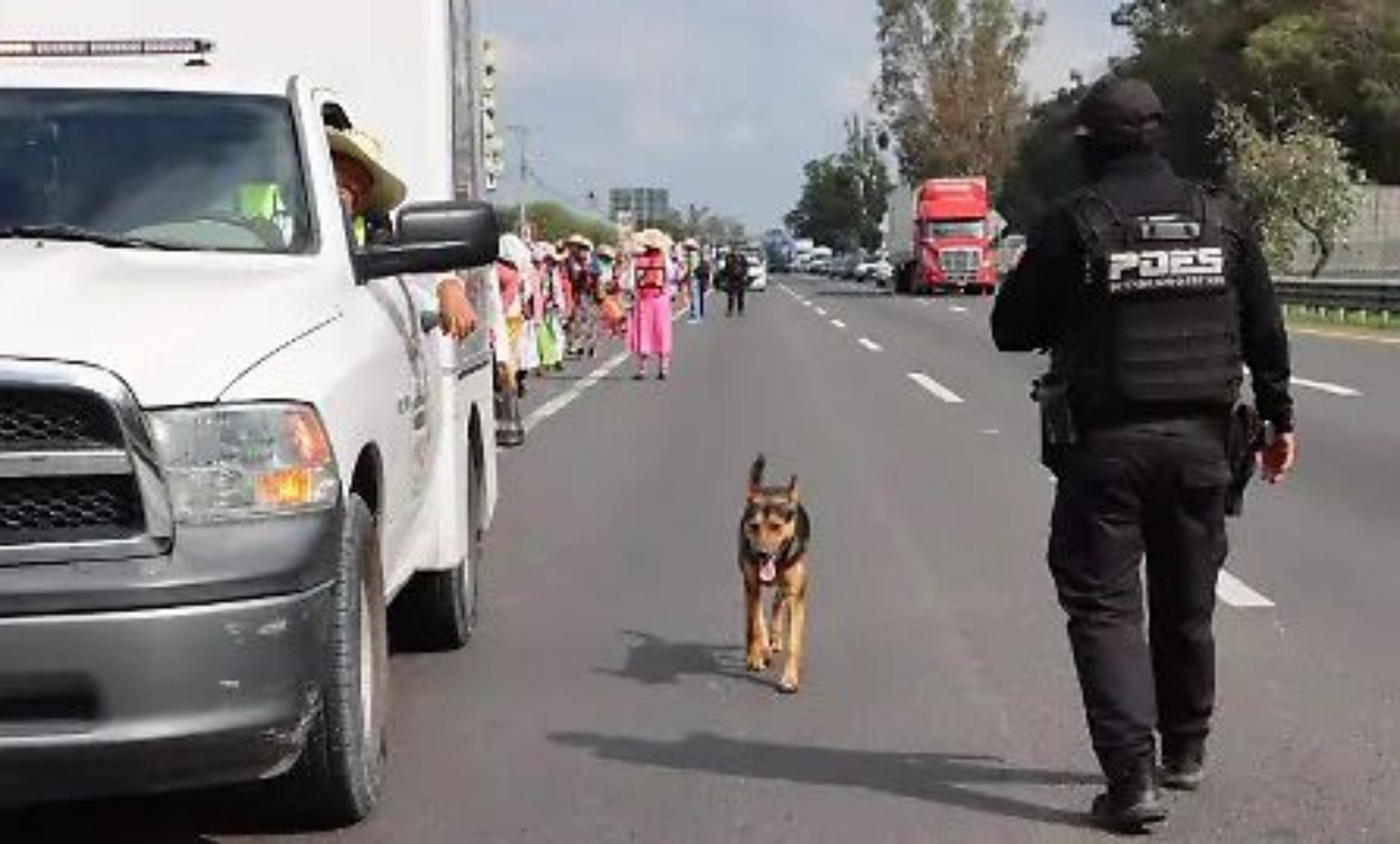 BUSCA DIOSESIS EVITAR ABANDONO DE MASCOTAS EN PEREGRINACIONES!