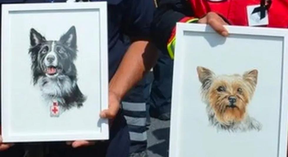 CIUDADANOS PIDEN ENDURECER LAS PENAS POR ACTOS DE CRUELDAD ANIMAL: KURI