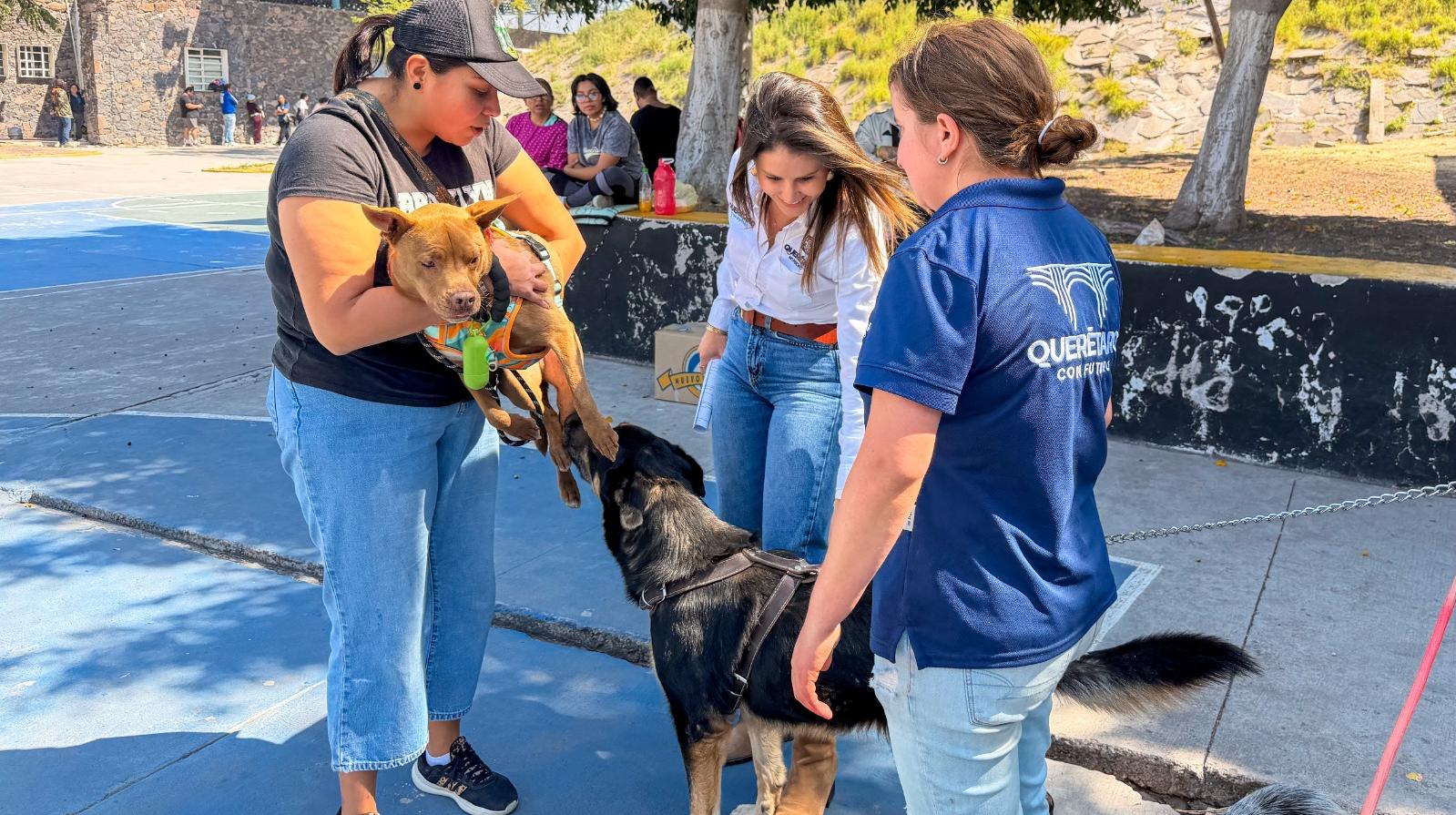 Impulsa Felifer Macías el bienestar de los seres sintientes con acciones integrales en todo el municipio