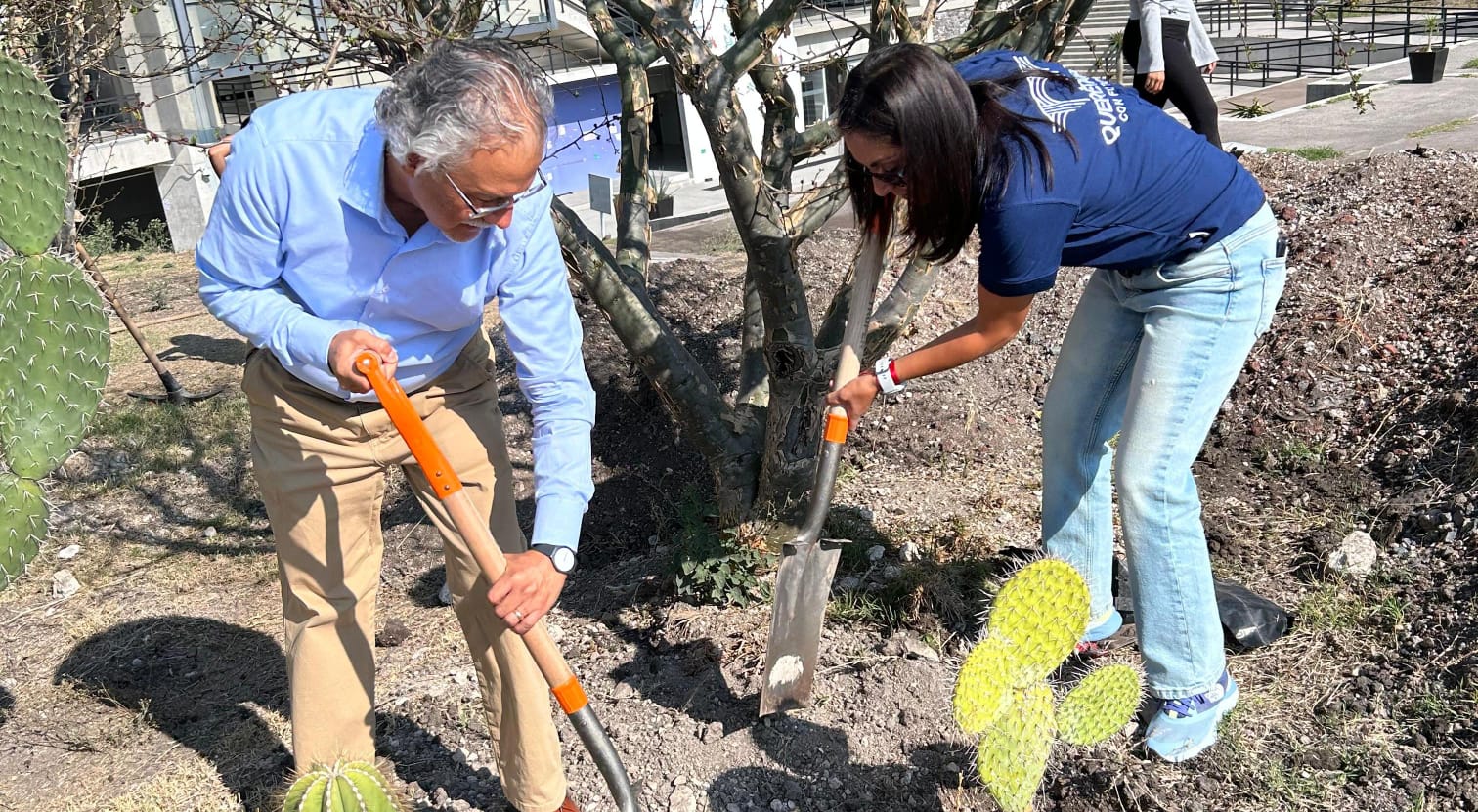 Invita Felifer Macías a participar en las Jornadas de Reforestación 2026
