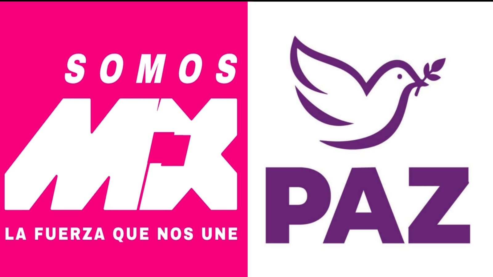 IEEQ APROBÓ LOS NUEVOS PARTIDOS POLITICOS PARTIDO PAZ Y SOMOS MÉXICO
