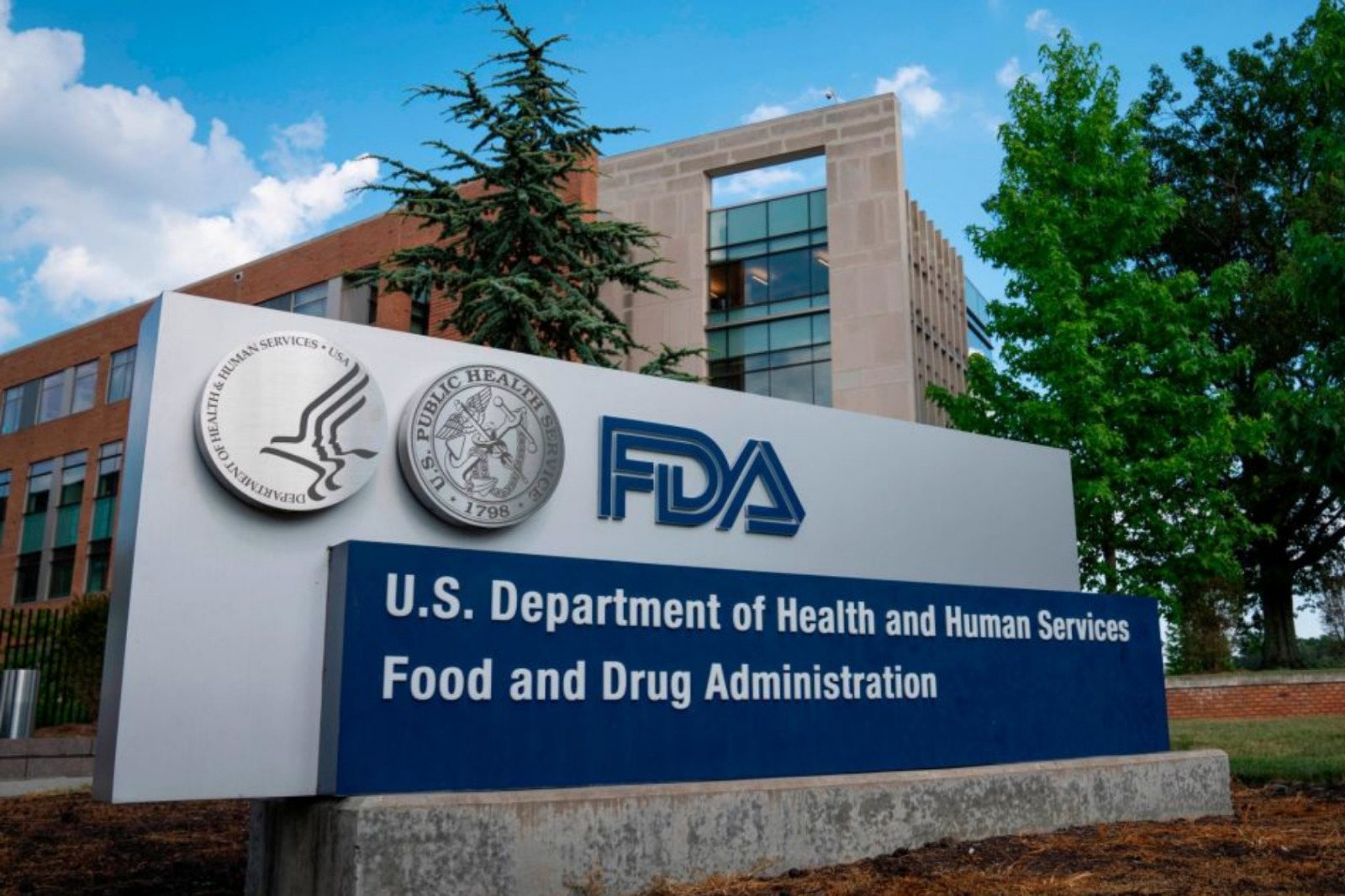 FDA rectifica: lechuga de México no causó brote de diarrea “explosiva”; fue un falso positivo