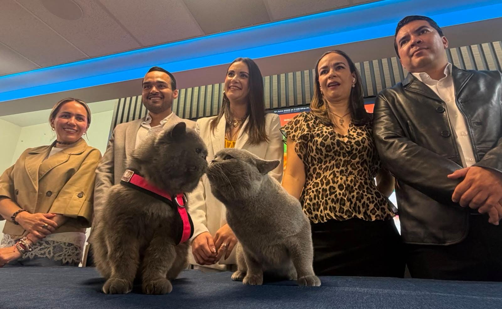 PRESENTAN MIAU & PETS EXPO MASCOTAS MÉXICO EN QUERÉTARO