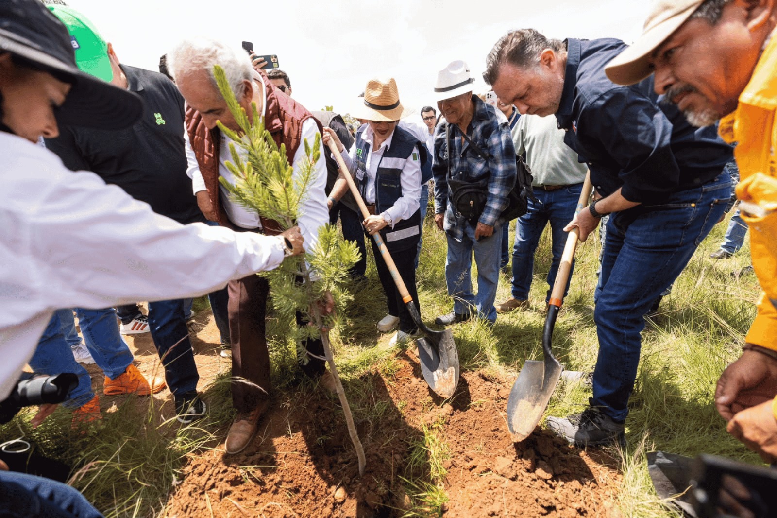 Mauricio Kuri participa en jornada nacional de reforestación en Querétaro