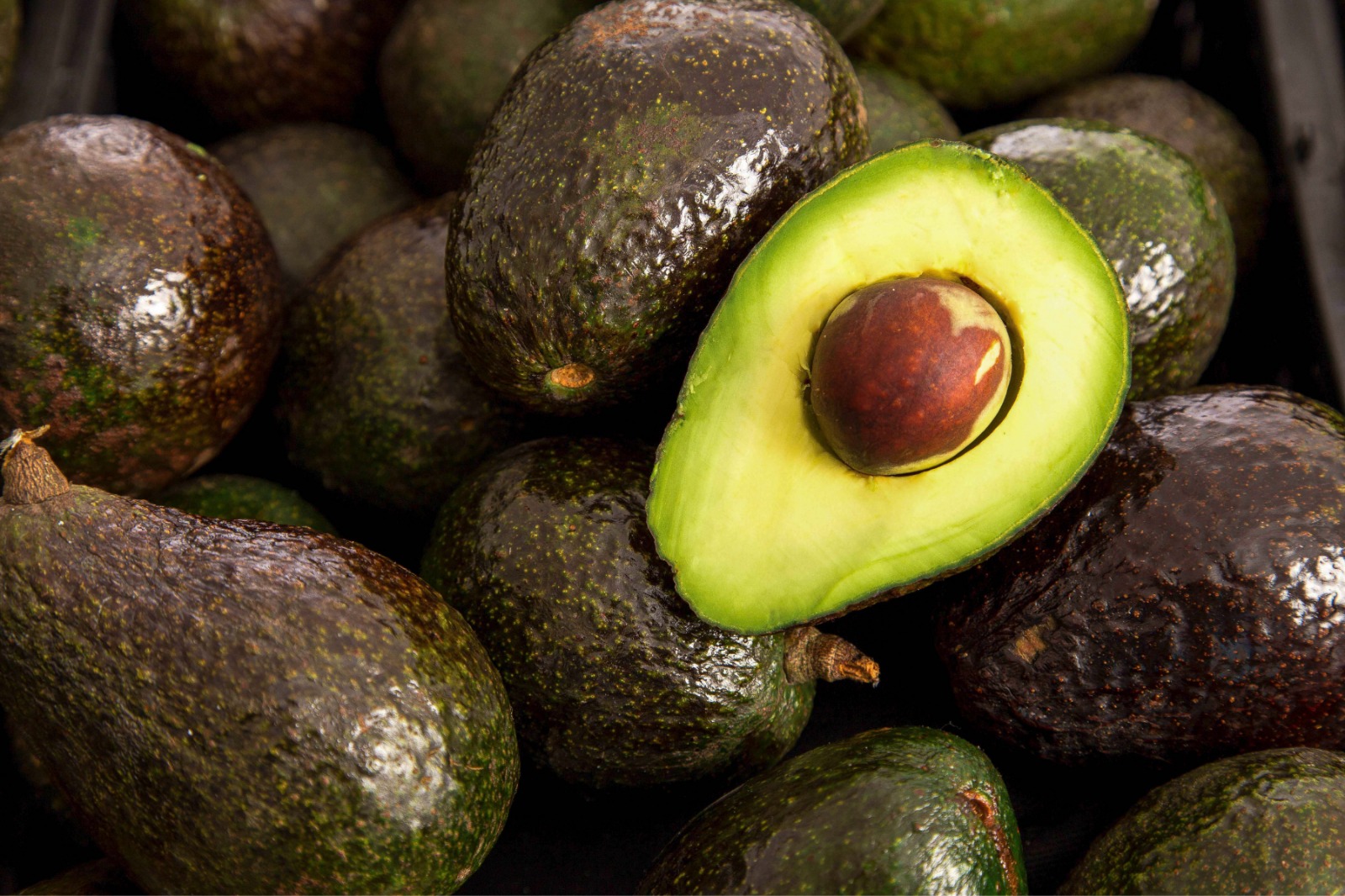 La Embajada de Estados Unidos reanuda vigilancia fitosanitaria para exportación de aguacate en Michoacán