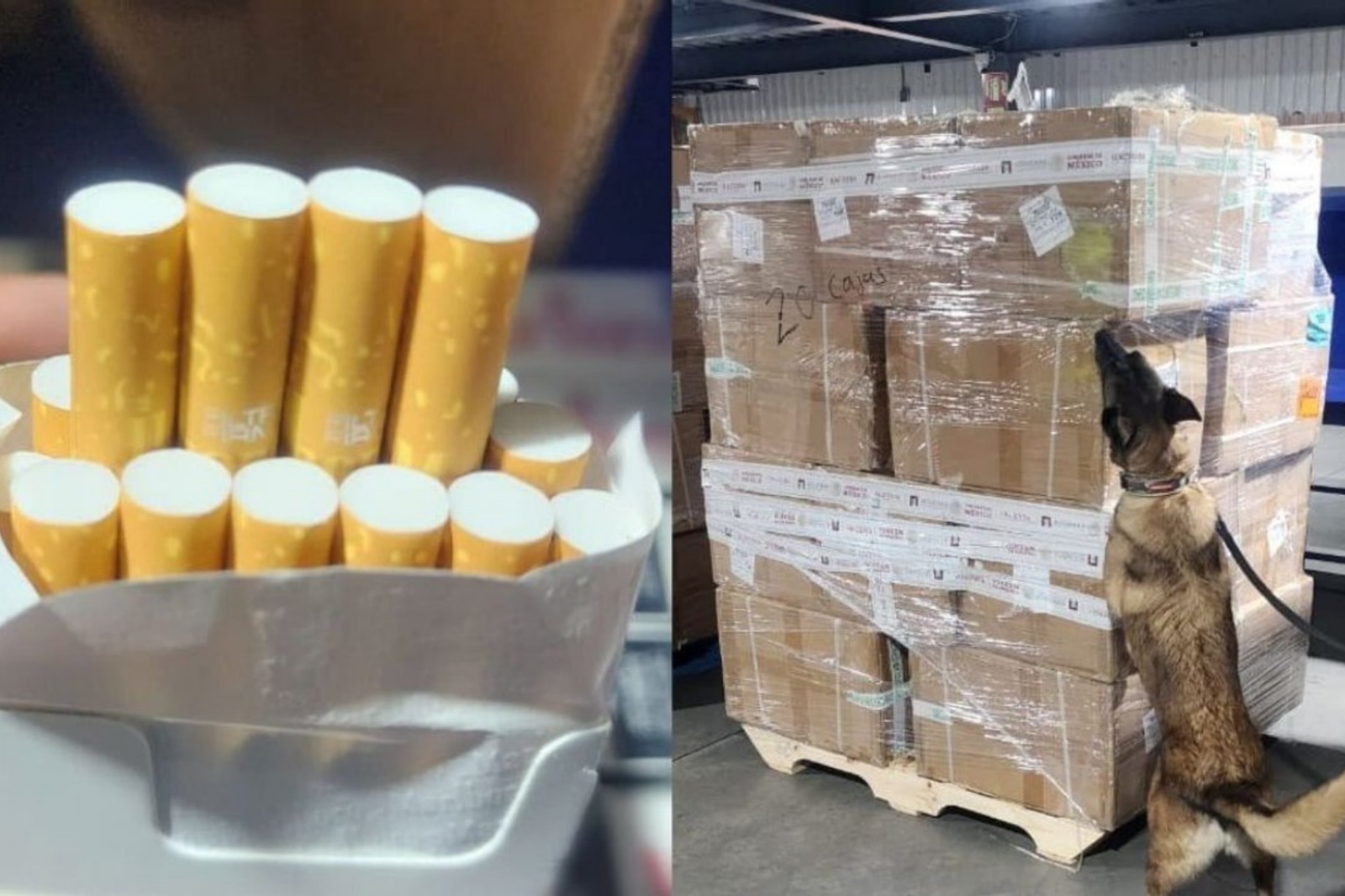 Decomisan más de 2.2 millones de cigarros de procedencia ilícita en el AICM