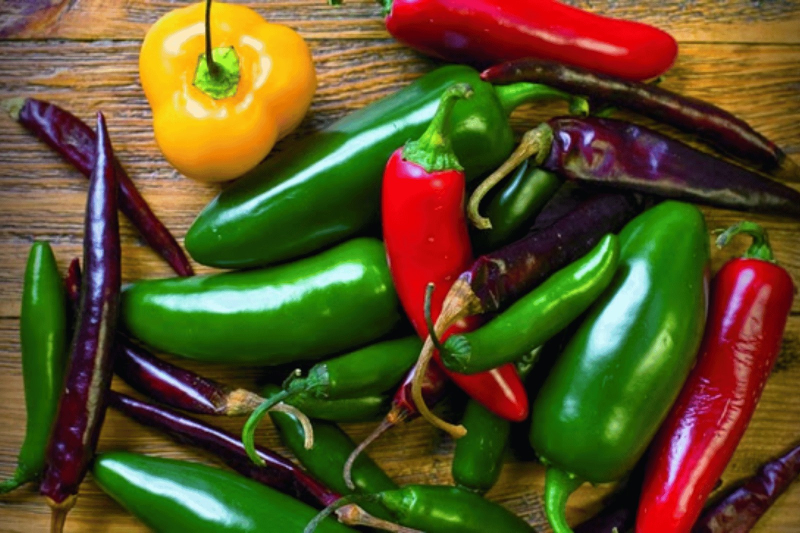 Cofepris descarta salmonela en chiles jalapeños revisados en empacadora de Nuevo León