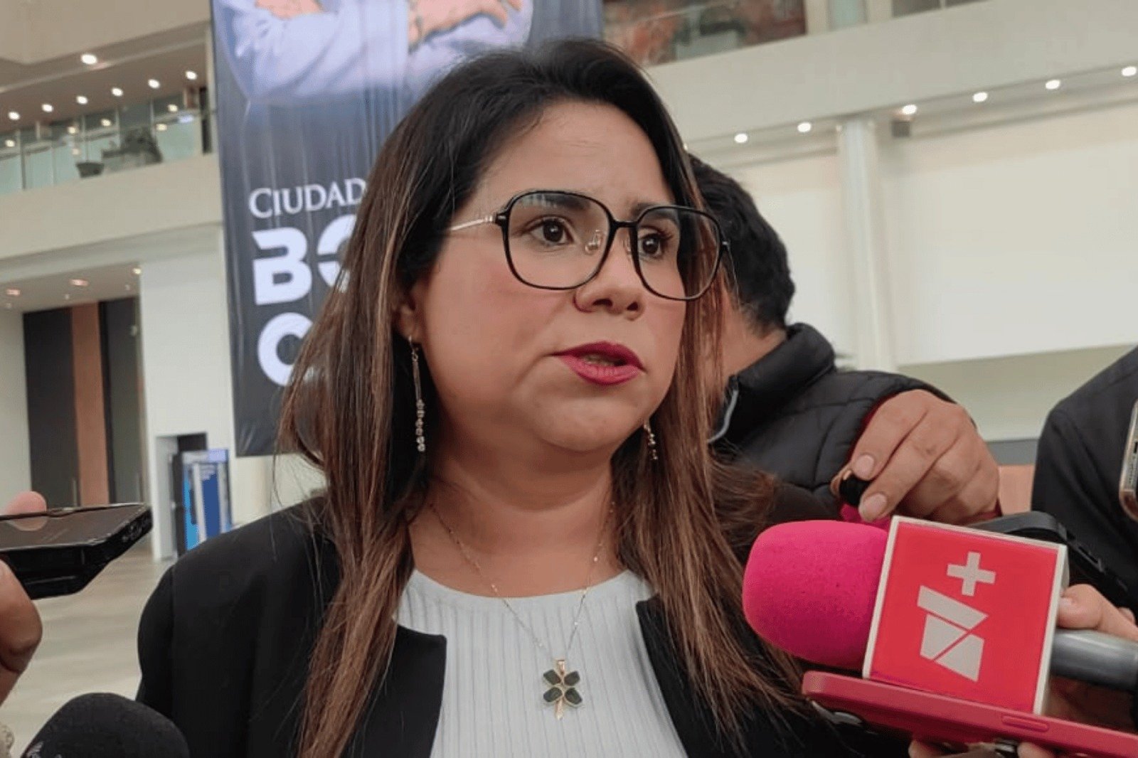 Grisel Muñiz: protocolo anti narcocandidatos sería voluntario, aclara el IEEQ