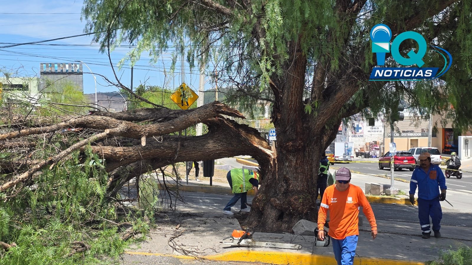 BRAZO DE ÁRBOL CAE SOBRE UNA MUJER EN SATÉLITE